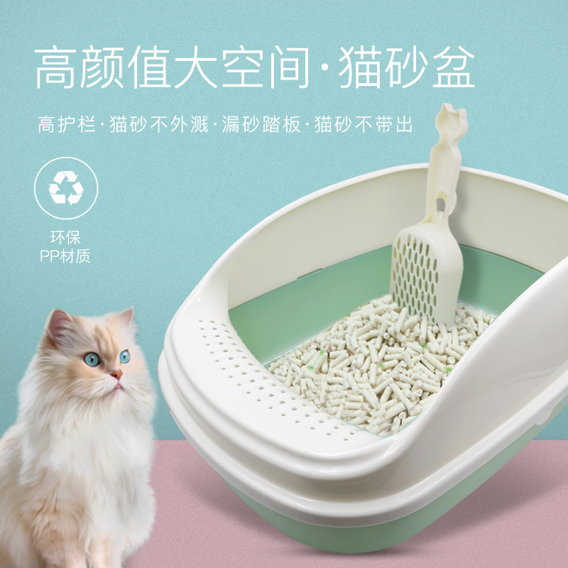 邢臺多麗網(wǎng)絡科技有限公司