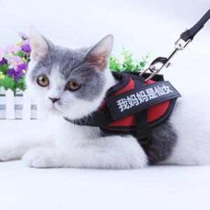 義烏市亦寵寵物用品有限公司