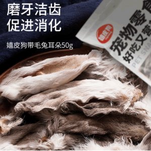 廈門長毛象科技有限公司