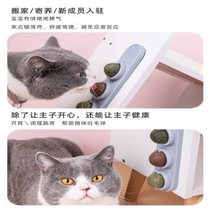 徐州靈喵寵物用品有限公司