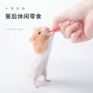 漳州市寵尚貿(mào)易有限公司