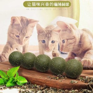 趙縣銳拓電子商務(wù)有限公司