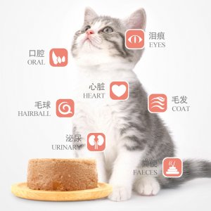 成都炫寵網(wǎng)絡科技有限公司