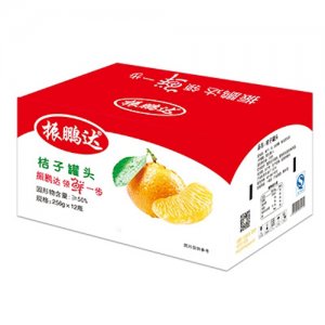 振鵬達(dá)桔子罐頭.jpg