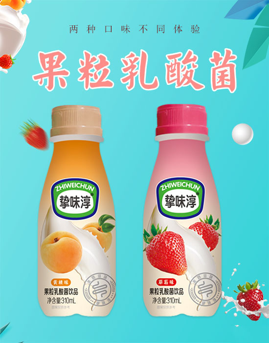 摯味淳果粒乳酸菌1.jpg