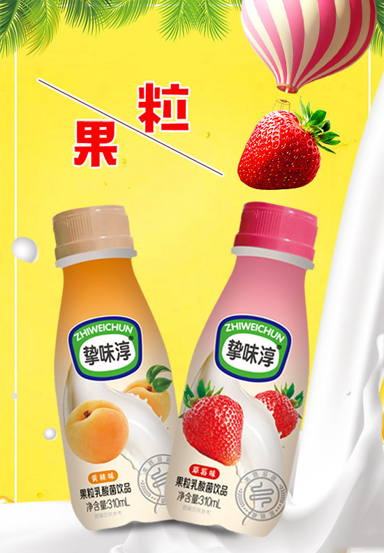 摯味淳果粒乳酸菌.jpg