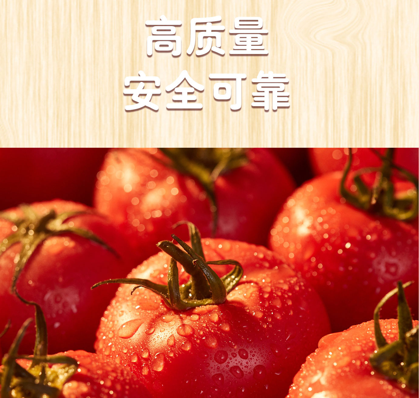 番茄調(diào)味醬1kg簡介_03.jpg