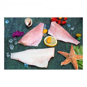 中魯遠(yuǎn)洋紅魚(yú)