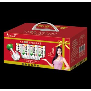 南國椰香椰子汁245ml禮盒
