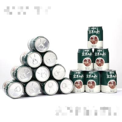 吉遠堅果大咖植物蛋白飲品（罐裝）