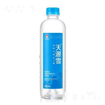 天源雪食品科技有限公司