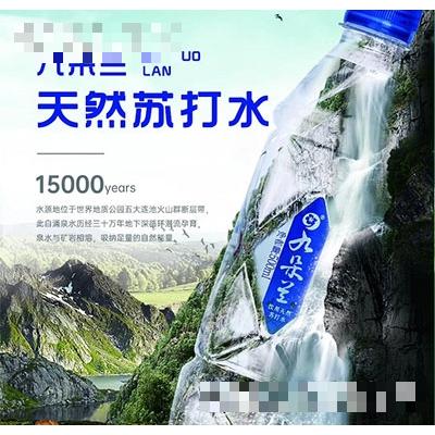 吉林省長春市九朵蘭科技有限公司