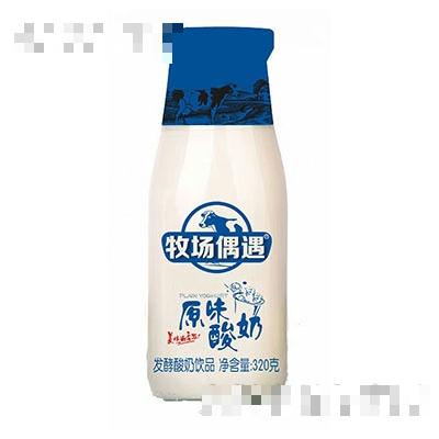 牧場(chǎng)偶遇原味酸奶320g