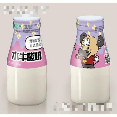 桂牛水牛酸奶200ml
