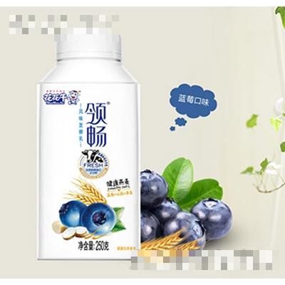 花花牛領(lǐng)暢發(fā)酵乳藍(lán)莓250g