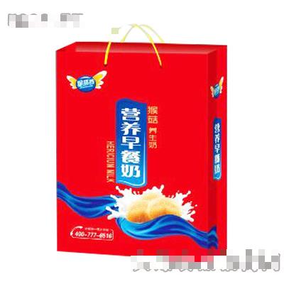 星搭檔營(yíng)養(yǎng)早餐奶手提袋