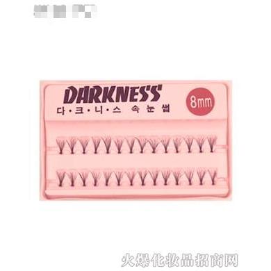 大連達克妮斯彩妝用品有限公司