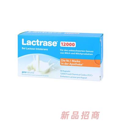 樂迪士品牌部