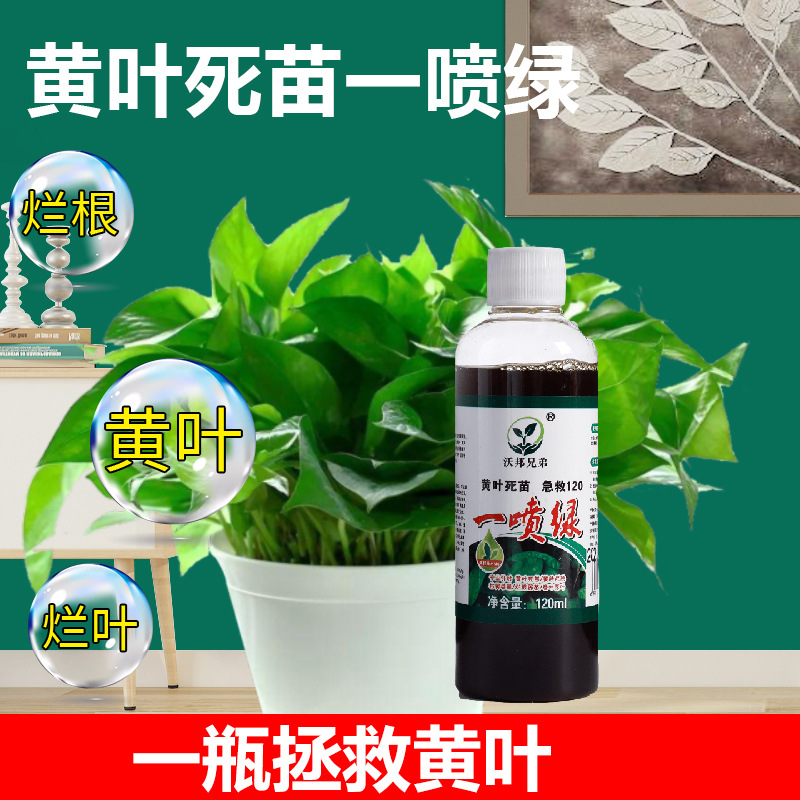 發(fā)財(cái)樹專用營(yíng)養(yǎng)液金錢樹室內(nèi)植物肥料