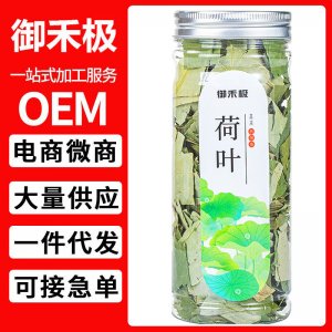 御禾極 荷葉茶罐裝20g干荷葉廠(chǎng)家直供O EM貼 牌一件代發(fā)批發(fā)