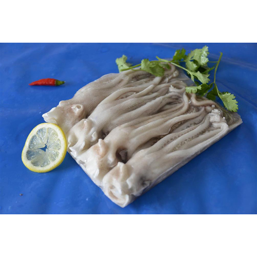 魷魚(yú)頭.jpg