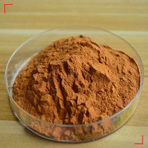 發(fā)酵蟲(chóng)草菌粉1.jpg
